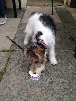 Massimo's Italian Ice Cream