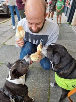 Massimo's Italian Ice Cream