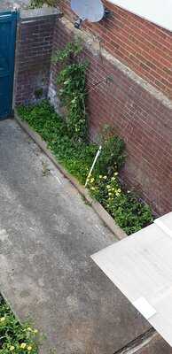 Mowden Chinese Takeaway