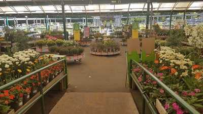 Wyvale Garden Centre Telford