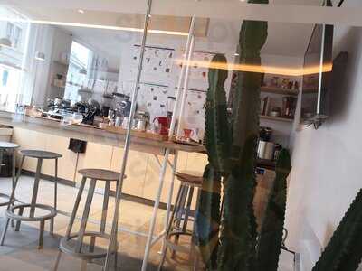 Kiss The Hippo Coffee