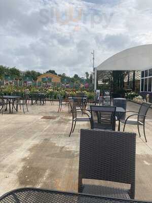 Lime Tree Restaurant