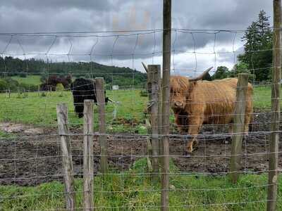 Trossachs Woollen Mill