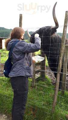 Trossachs Woollen Mill