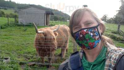 Trossachs Woollen Mill