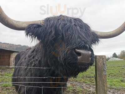 Trossachs Woollen Mill