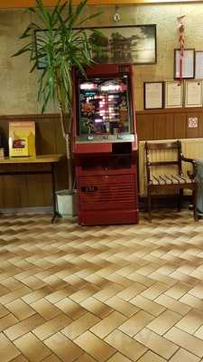 The Golden Flame Chinese Takeaway