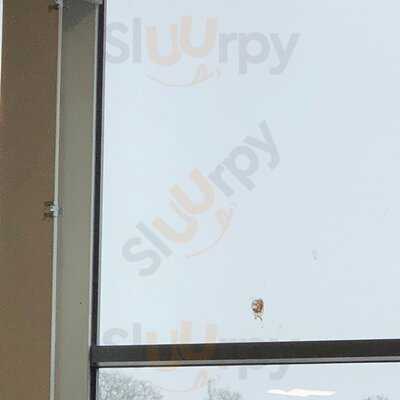Sainsburys Cafe