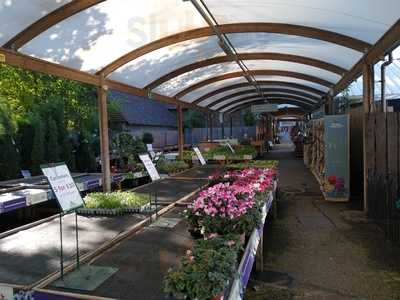 Wyevale Garden Centre