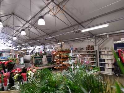 Wyevale Garden Centre