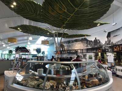 The Elm Tree Restaurant