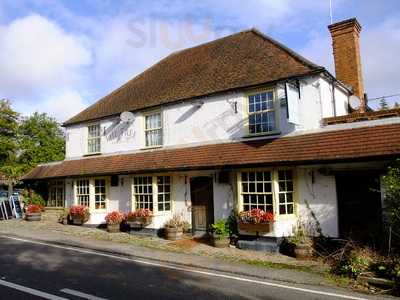 Bluebell At Cadmore End