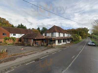 Bluebell At Cadmore End