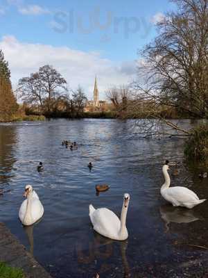 The Old Cottage Creams