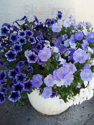 Katharines Village Coffee Shop