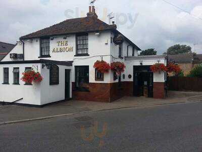 The Albion