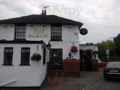 The Albion