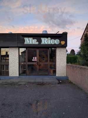 New Mr Rice