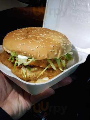 Florida Fried Chicken