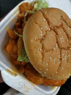 Florida Fried Chicken