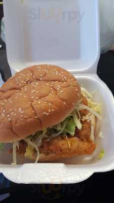 Florida Fried Chicken