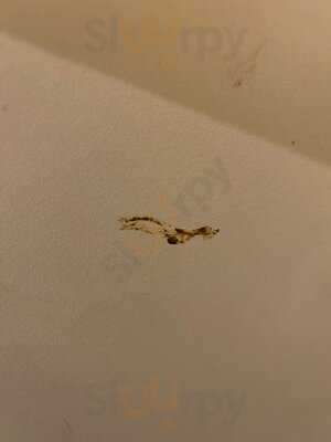 Lodmoor Brewers Fayre