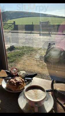 Tegg's Nose Tea Room