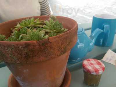 Pear Tree Produce Cafe