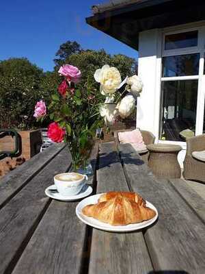 Pistachios In The Park