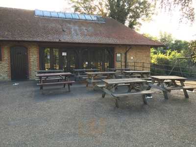 Pistachios In The Park