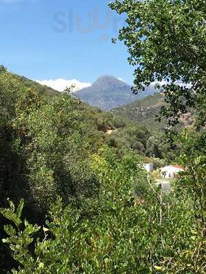 Crompton Road Chippy