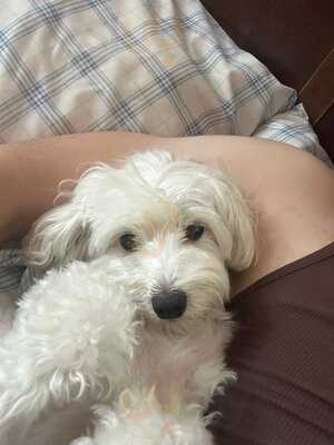 The Chippy At Broken Cross