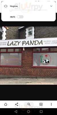 Lazy Panda