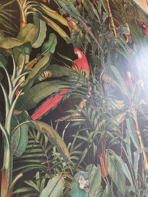 Cafe Nucleus Chatham