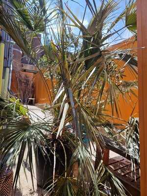 Cafe Nucleus Chatham