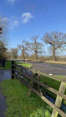 Gastronomical Burgers And Desserts