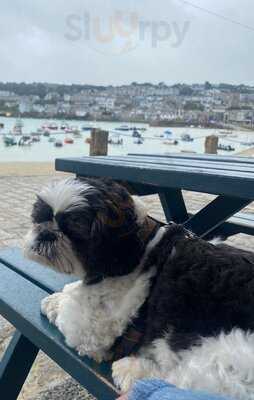 The Searoom By St Ives Liquor Co.