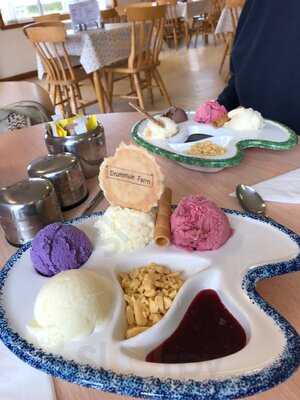 Drummuir Farm Ice Cream