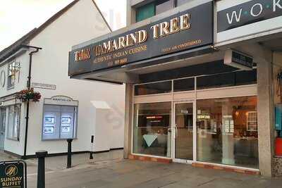 The Tamarind Tree