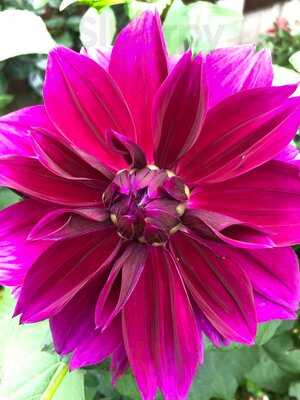 The Swan @ Blakedown