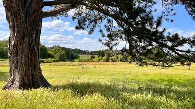 The Chequers Inn Restaurant