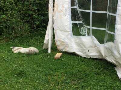 The Old Courthouse Cafe