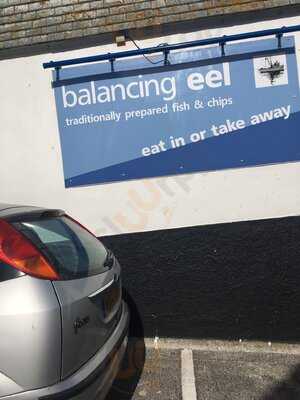 The Balancing Eel