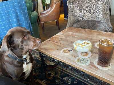 The Dandelion Tavern