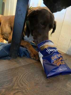 The Dandelion Tavern