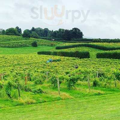 Three Choirs Vineyards Restaurant