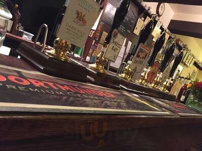 The Swan With Two Necks