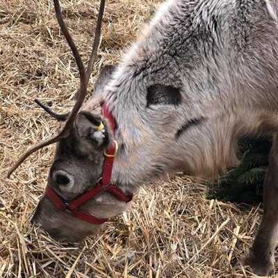 Stewarts Christchurch Garden Centre