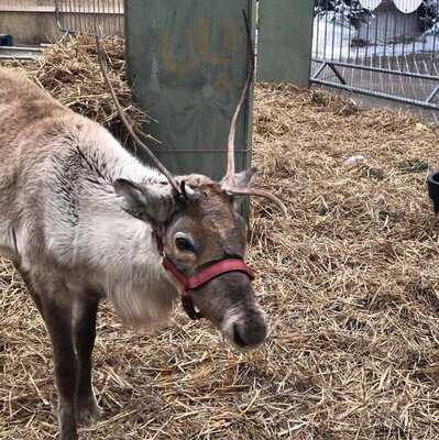 Stewarts Christchurch Garden Centre
