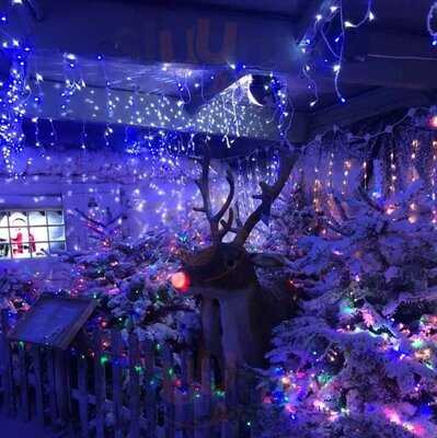 Stewarts Christchurch Garden Centre